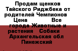 Продам щенков Тайского Риджбека от родителей Чемпионов › Цена ­ 30 000 - Все города Животные и растения » Собаки   . Архангельская обл.,Пинежский 